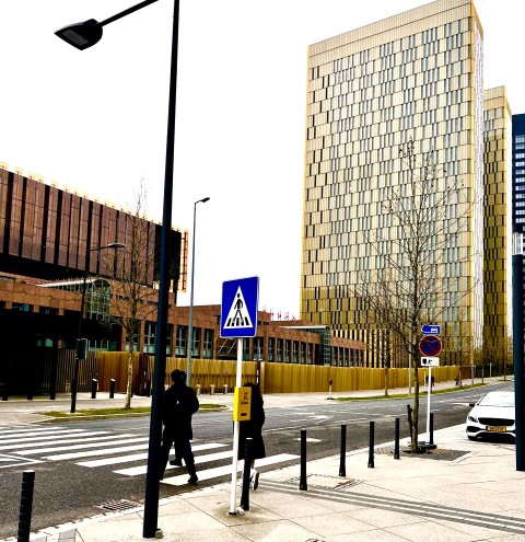 visita Internacional JPDIMG-20260216-WA0007 (Pequeno)